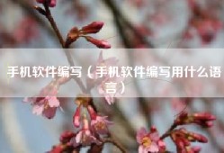 手机软件编写（手机软件编写用什么语言）