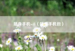 随身手机wifi（随身手机包）