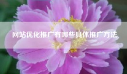 网站优化推广有哪些具体推广方法