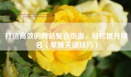 打造高效的网站聚合页面，轻松提升排名（掌握关键技巧）