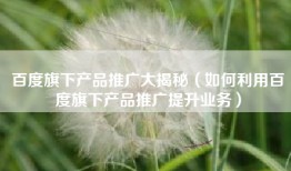 百度旗下产品推广大揭秘（如何利用百度旗下产品推广提升业务）