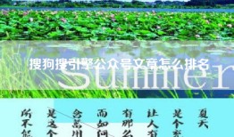 搜狗搜引擎公众号文章怎么排名
