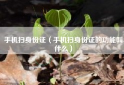 手机扫身份证（手机扫身份证的功能叫什么）
