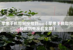 苹果手机如何投屏到mac（苹果手机如何投屏到电视机全屏）