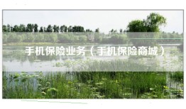 手机保险业务（手机保险商城）