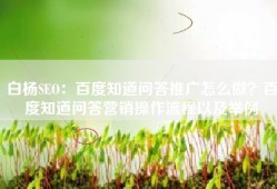 白杨SEO：百度知道问答推广怎么做？百度知道问答营销操作流程以及举例