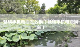 魅族手机电池怎么换（魅族手机电池换新）