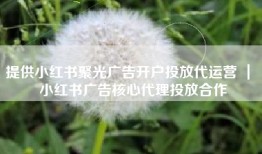 提供小红书聚光广告开户投放代运营 ｜ 小红书广告核心代理投放合作