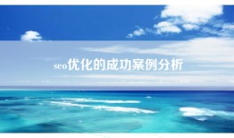 seo优化的成功案例分析