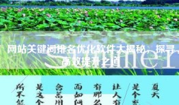 网站关键词排名优化软件大揭秘，探寻高效提升之道