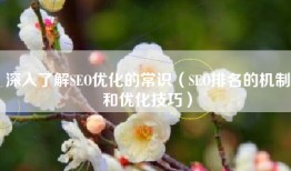 深入了解SEO优化的常识（SEO排名的机制和优化技巧）