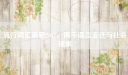 流行词汇最新2017，揭示语言变迁与社会现象