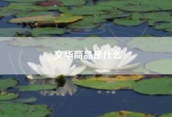文华商品是什么