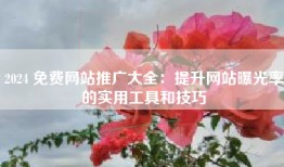 2024 免费网站推广大全：提升网站曝光率的实用工具和技巧