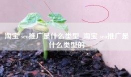 淘宝 seo推广是什么类型_淘宝 seo推广是什么类型的