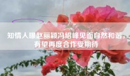 知情人曝赵丽颖冯绍峰见面自然和谐，有望再度合作受期待