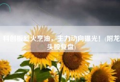 科创板烈火烹油，主力动向曝光！(附龙头股复盘)