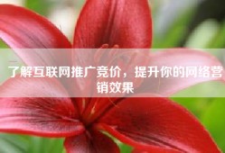 了解互联网推广竞价，提升你的网络营销效果