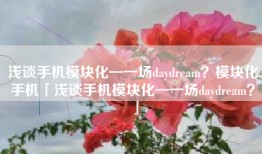 浅谈手机模块化—一场daydream？模块化手机「浅谈手机模块化—一场daydream？」
