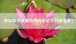 参加数学建模如何降低论文的查重率？