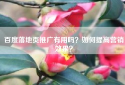 百度落地页推广有用吗？如何提高营销效果？