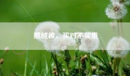 鹅绒被，买对不买贵