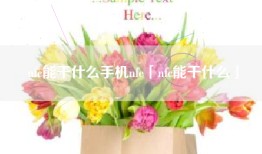 nfc能干什么手机nfc「nfc能干什么」