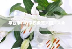 平台推广方案模板范文图片大全