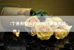 7个各有特点的HTTP代理服务器