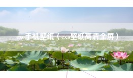 exo手机壁纸（exo壁纸高清全屏）