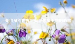 竞价员的世界，有你想象不到的心酸