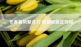 冬春蓄势聚合力 培训赋能正当时