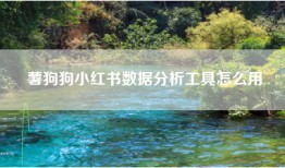 薯狗狗小红书数据分析工具怎么用
