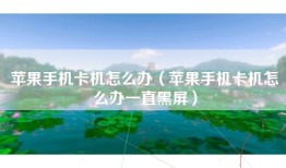 苹果手机卡机怎么办（苹果手机卡机怎么办一直黑屏）