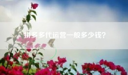 拼多多代运营一般多少钱？