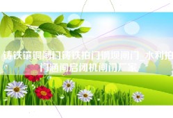 铸铁镶铜闸门铸铁拍门钢坝闸门_水利拍门涵闸启闭机闸门厂家