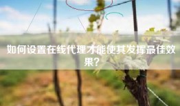如何设置在线代理才能使其发挥最佳效果？