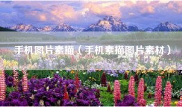 手机图片素描（手机素描图片素材）