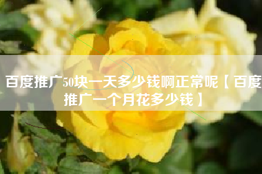 百度推广50块一天多少钱啊正常呢【百度推广一个月花多少钱】