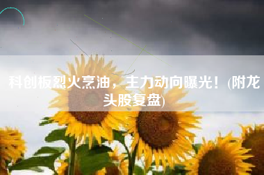 科创板烈火烹油，主力动向曝光！(附龙头股复盘)