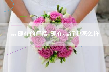 seo现在的行情_现在seo行业怎么样