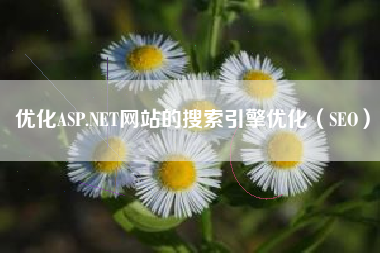 优化ASP.NET网站的搜索引擎优化（SEO）