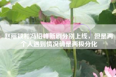 赵丽颖和冯绍峰新剧分别上线，但是两个人遇到情况确是两极分化
