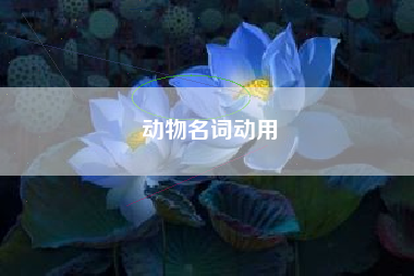 动物名词动用