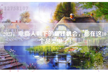 2023，电商人剩下的赚钱机会，都在这10个品类里了！