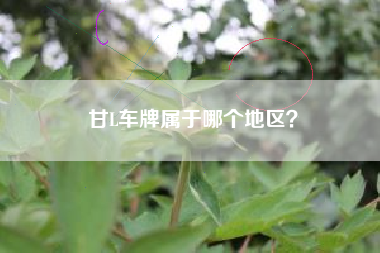 甘L车牌属于哪个地区？