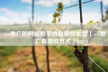 seo推广的网站和平台有哪些类型【seo推广有哪些方式】