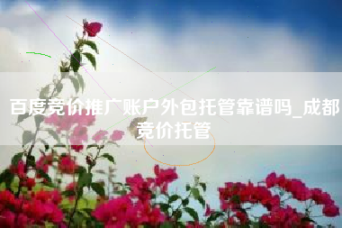百度竞价推广账户外包托管靠谱吗_成都竞价托管