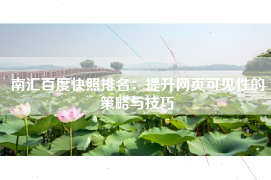 南汇百度快照排名：提升网页可见性的策略与技巧