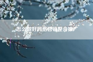怎么做好网络营销整合推广